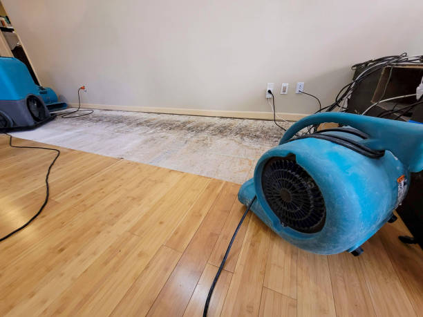 Professional Flood Damage Cleanup technician working in Womelsdorf, PA